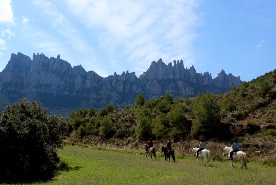 From Barcelona: Horseback Tour in Montserrat National Park - What the guide adds to the day
