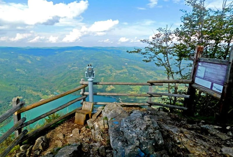 From Belgrade: Tara National Park & Drina River Valley Tour - Zelenika viewpoint and the rhythm of short stops