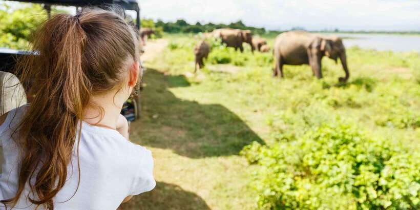 From Bentota: Full-Day Yala National Park Safari Tour - Booking flexibility and timing