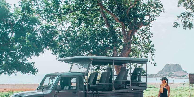 From Bentota: Full-Day Yala National Park Safari Tour - Lunch, costs, and the real value of $105