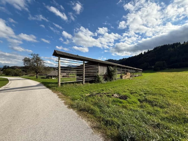 From Bled: Self Guided E-Bike Trip to Triglav National Park - Meadows, farms, and traditional alpine villages