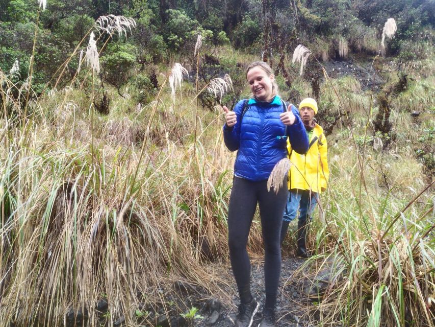 From Bogotá: Chingaza National Park Eco Tour - Wildlife, plants, and the chance of a spectacled bear