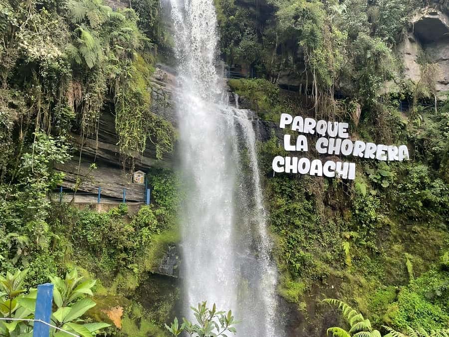 From Bogotá: Chingaza National Park Eco Tour - Who should book this Chingaza outing?
