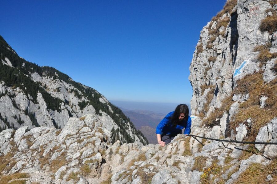 From Brasov: Piatra Craiului National Park Private Day Tour - Zarnesti Gorge: The Dramatic Early Highlight