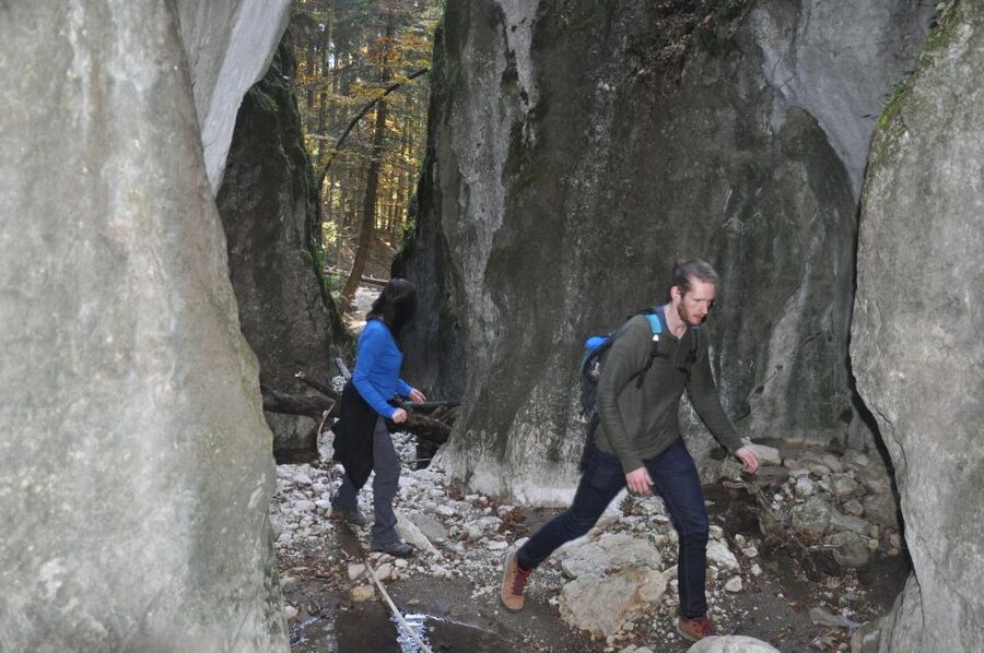 From Brasov: Piatra Craiului National Park Private Day Tour - Walking Through a Romania That Still Feels Rural