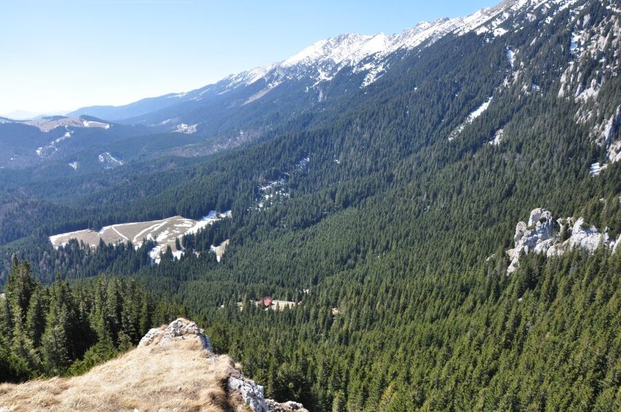 From Brasov: Piatra Craiului National Park Private Day Tour - What the Private Format Is Worth at $111