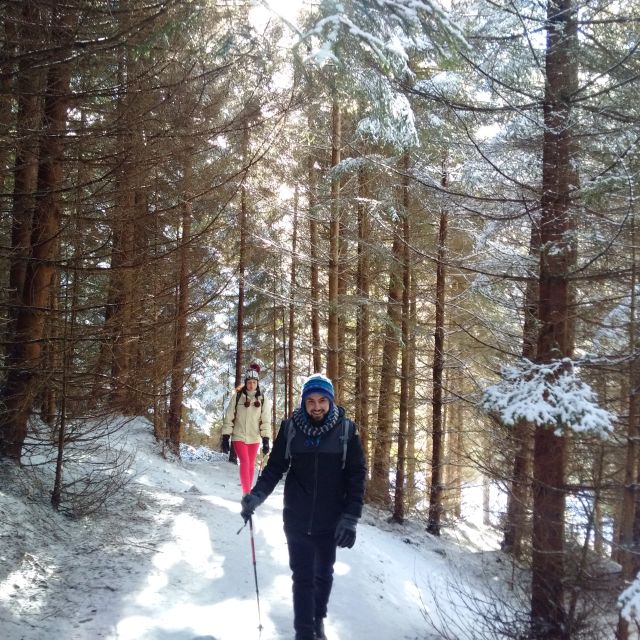 From Brasov: Piatra Craiului National Park Private Day Tour - Choosing Between Forest Trails and the Ridge