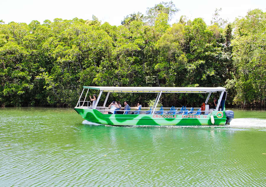 From Cairns: Daintree Wilderness & Cape Tribulation Bus Tour - What a 13-hour Daintree day really feels like