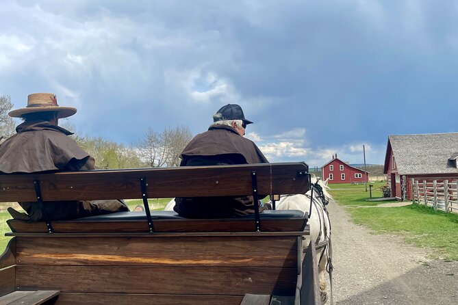 From Calgary to Waterton National Park Nature History and Wonders - The bison loop offers a chance, not a guarantee