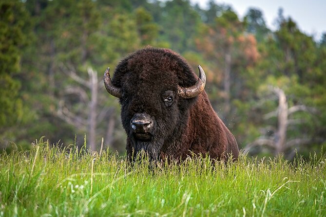 From Calgary to Waterton National Park Nature History and Wonders - Prince of Wales Hotel gives you the classic photograph