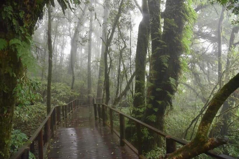 From Chiang Mai: Doi Inthanon National Park Day Trip - Why Doi Inthanon makes a strong day trip from Chiang Mai