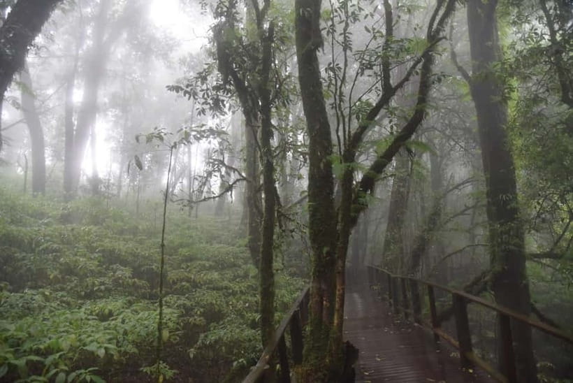 From Chiang Mai: Doi Inthanon National Park Day Trip - Reaching Thailand’s highest point at 2,565 meters