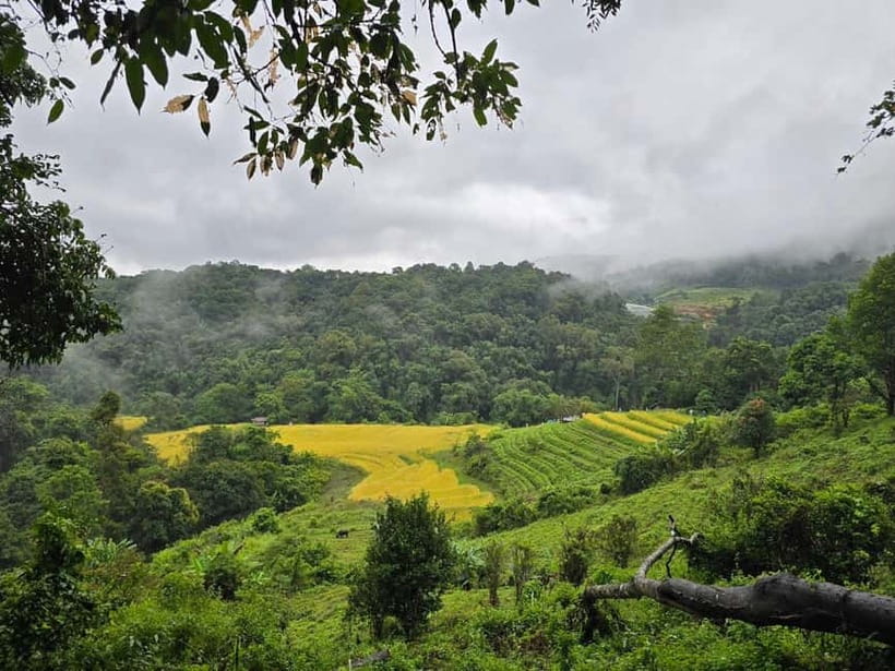 From Chiang Mai: Doi Inthanon National Park Day Trip - Wachirathan Waterfall brings the drama