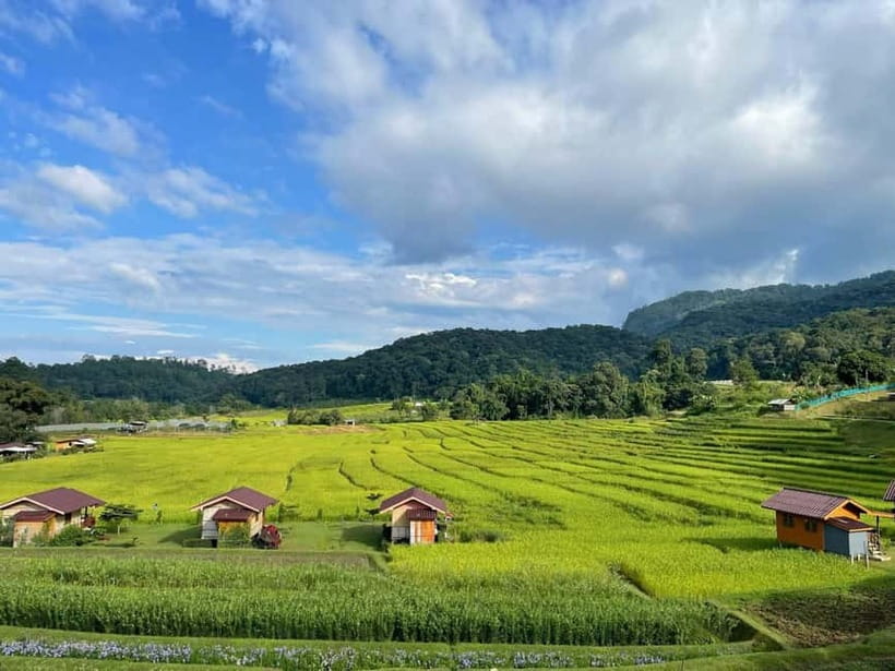 From Chiang Mai: Doi Inthanon National Park Day Trip - What the $61 price really covers