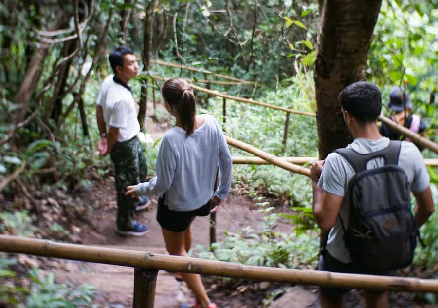 From Chiang Mai: Doi Inthanon National Park Day Trip & Hike - Why this Doi Inthanon day trip works so well
