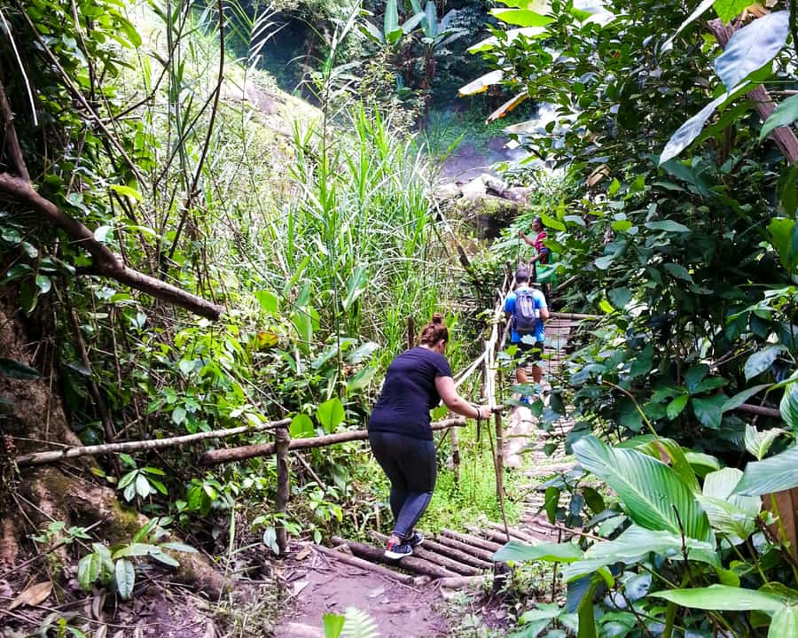 From Chiang Mai: Doi Inthanon National Park Day Trip & Hike - Lunch at the Royal Project restaurant