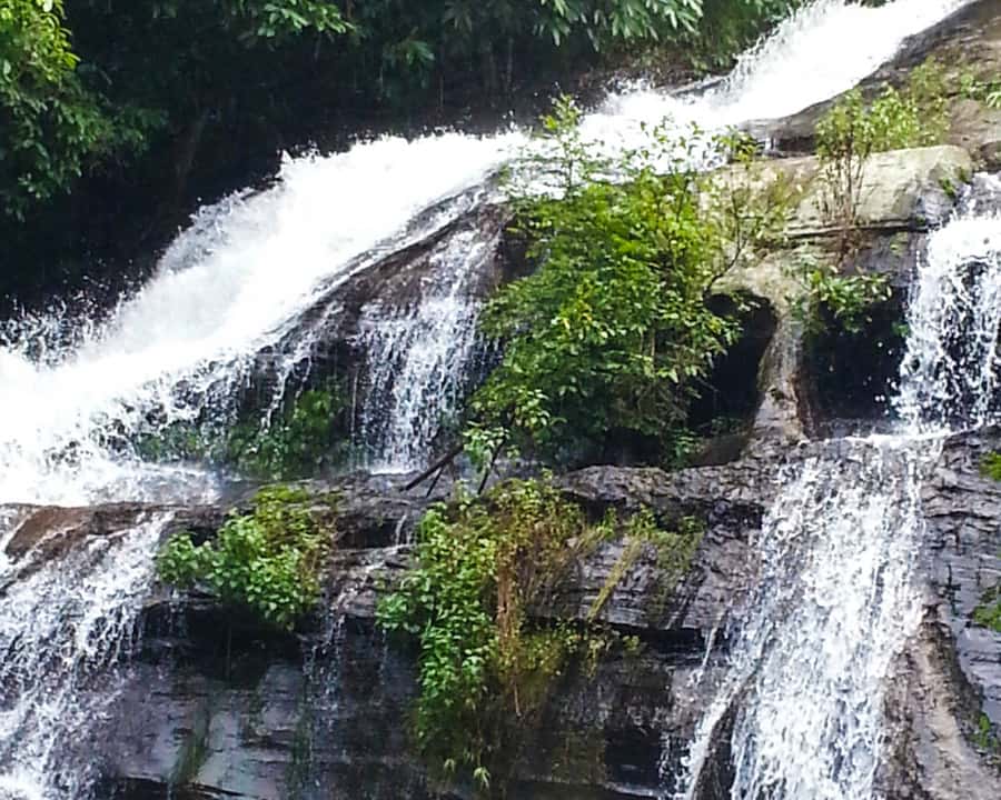 From Chiang Mai: Doi Inthanon National Park Day Trip & Hike - Mae Klang Luang and Karen coffee