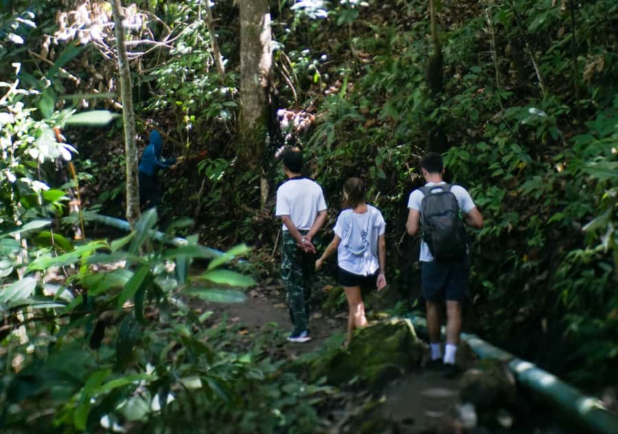 From Chiang Mai: Doi Inthanon National Park Day Trip & Hike - Who should book this outing?