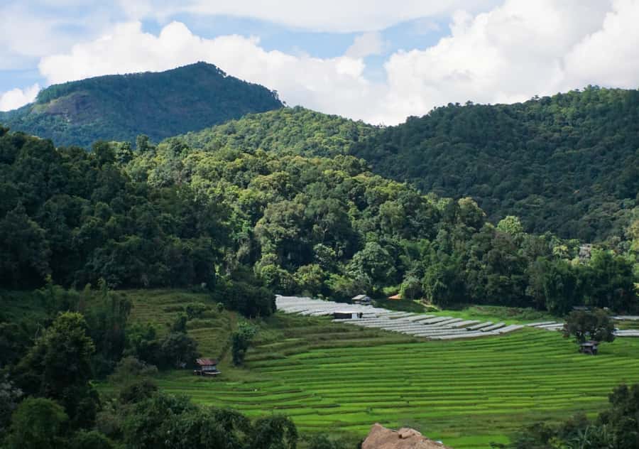 From Chiang Mai: Doi Inthanon National Park Day Trip & Hike - The drive from Chiang Mai to the mountain