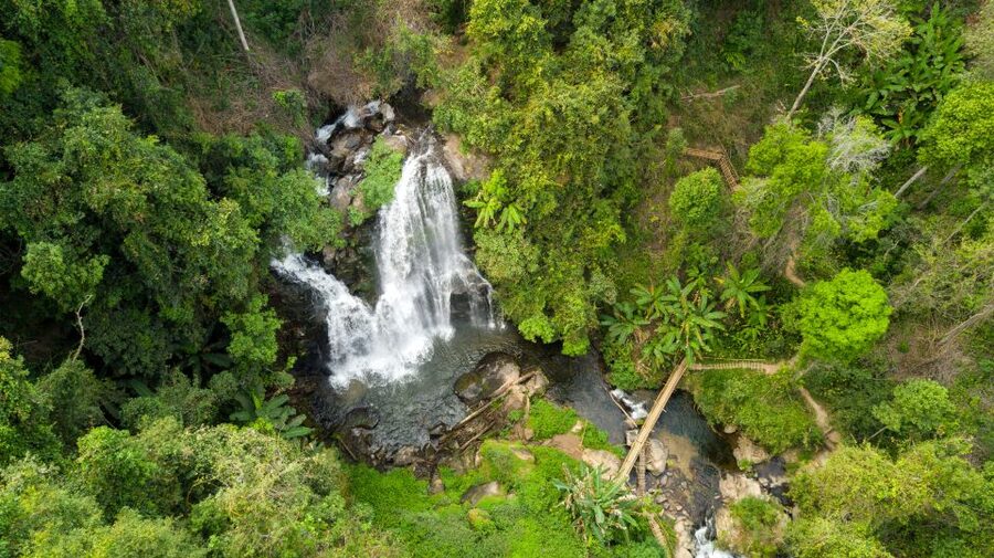 From Chiang Mai: Doi Inthanon National Park Hiking Tour - Why Doi Inthanon Makes a Fine Day Trip