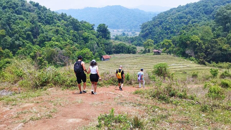From Chiang Mai: Doi Inthanon National Park Hiking Tour - The Summit Stop and a Cold-Weather Tip