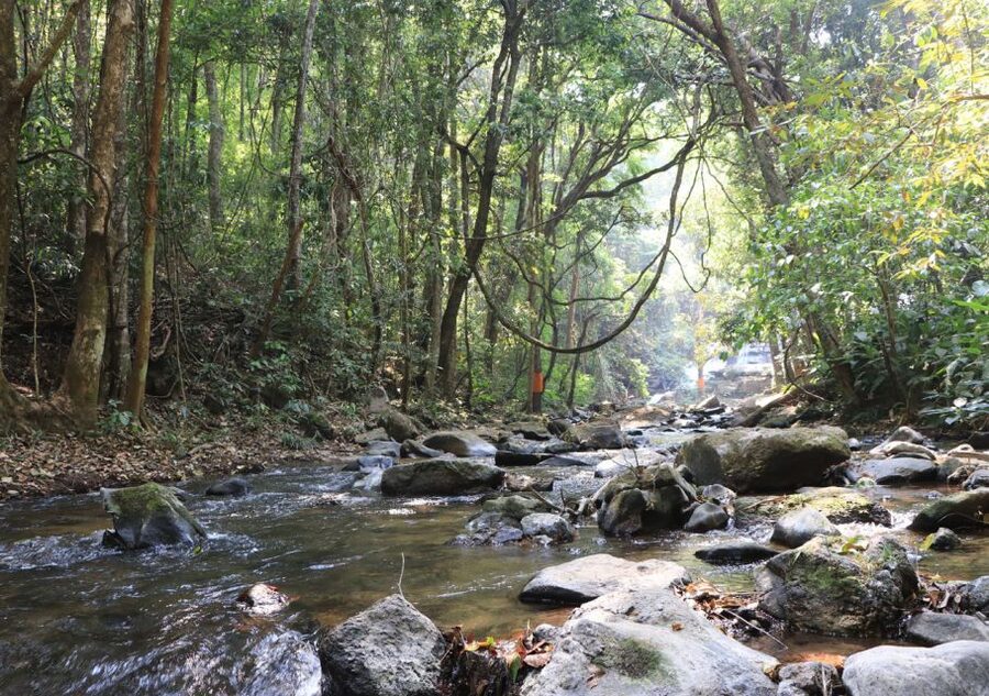 From Chiang Mai: Doi Inthanon National Park Hiking Tour - Waterfalls and a Place to Swim