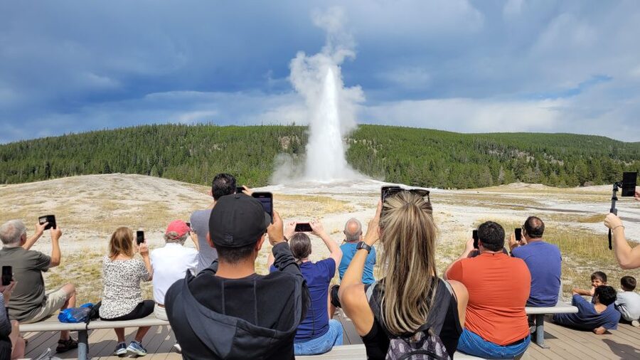 From Cody: Full-Day Yellowstone National Park Tour - Artist Point and the Grand Canyon of Yellowstone