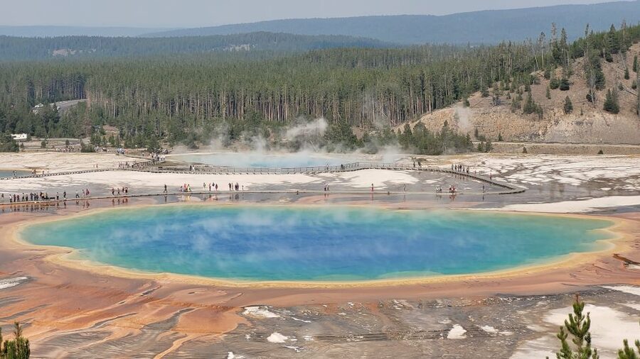 From Cody: Full-Day Yellowstone National Park Tour - Virginia Cascade Drive and Firehole Falls