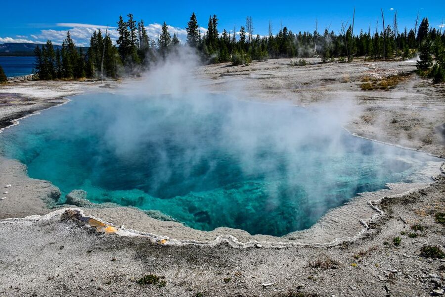 From Cody: Full-Day Yellowstone National Park Tour - Old Faithful and the 1.5-hour pause