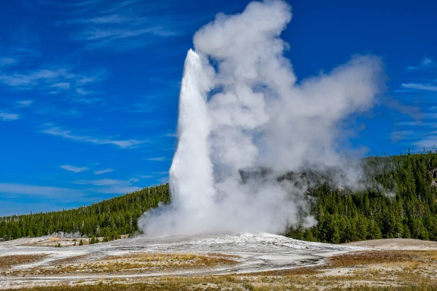 From Cody: Full-Day Yellowstone National Park Tour - Fishing Bridge and Yellowstone Lake