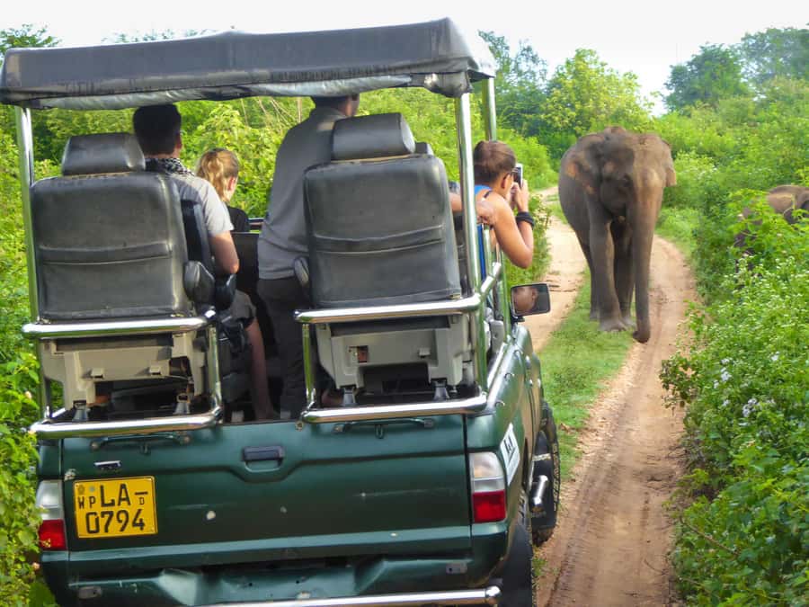 From Colombo : Yala National Park Safari With Tickets - Block I, Block II, and a useful warning