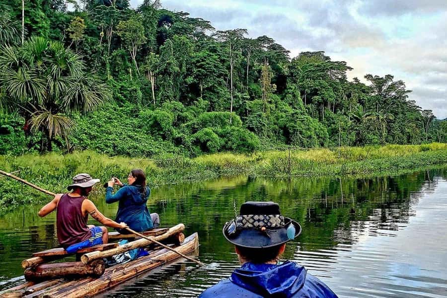 From Cusco: 4-Day Manu National Park Guided Tour - Who should book this Manu tour?