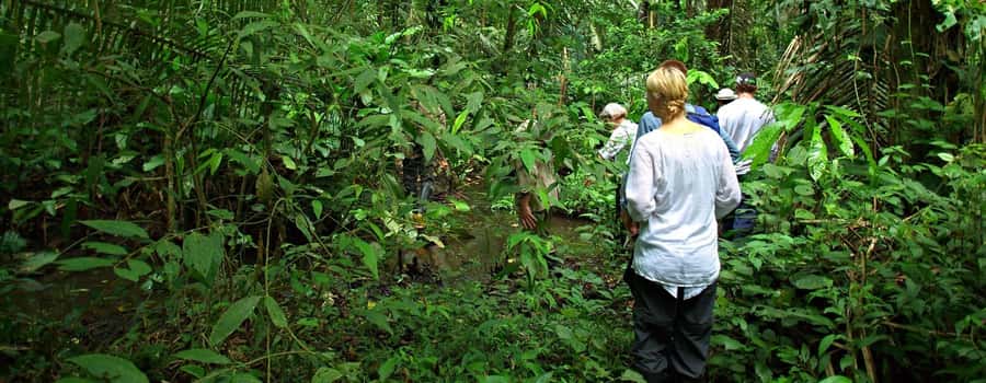 From Cusco: Manu National Park 3 Day Tour - The parrot clay lick is the early highlight