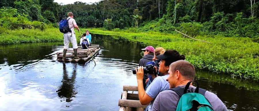 From Cusco: Manu National Park Tour & Accommodation 3 Days - The cloud forest route to Pilcopata