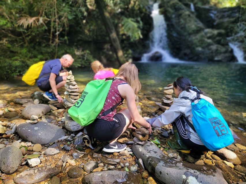 From Da Nang or Hoi An: Bach Ma National Park Trek & Lunch - The early ride from Hoi An or Da Nang