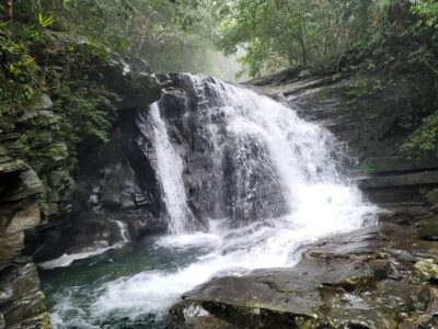 From Da Nang or Hoi An: Bach Ma National Park Trek & Lunch
