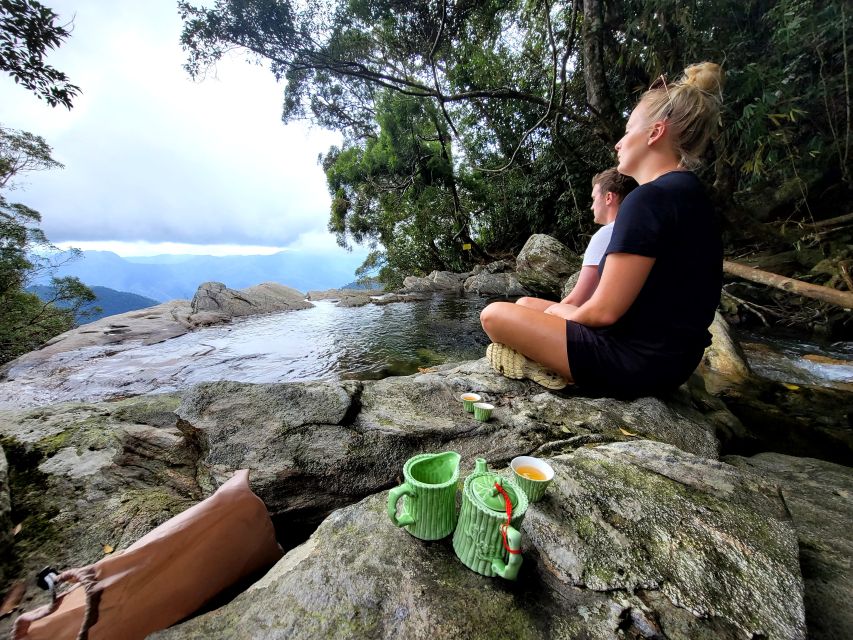From Da Nang or Hoi An: Bach Ma National Park Trek & Lunch - Wildlife, weather, and the real level of effort