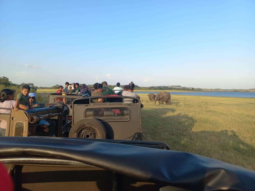 From Dambulla: Minneriya National Park wild Jeep Safari - From Dambulla to the park gate
