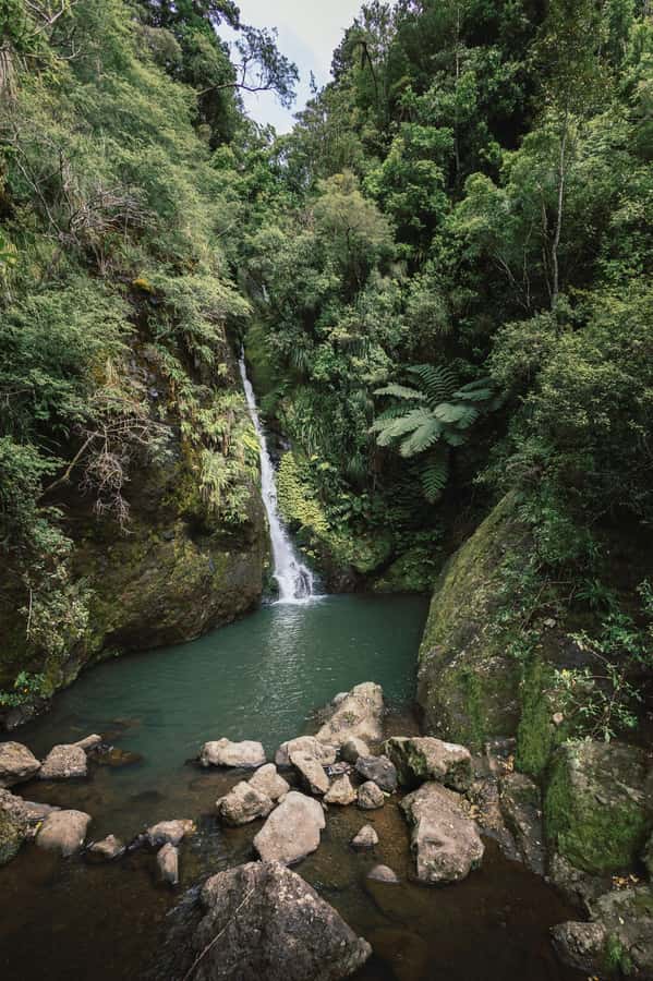 From Dar es Salaam: Mikumi National Park Day Trip - SGR to Morogoro, then on to the park