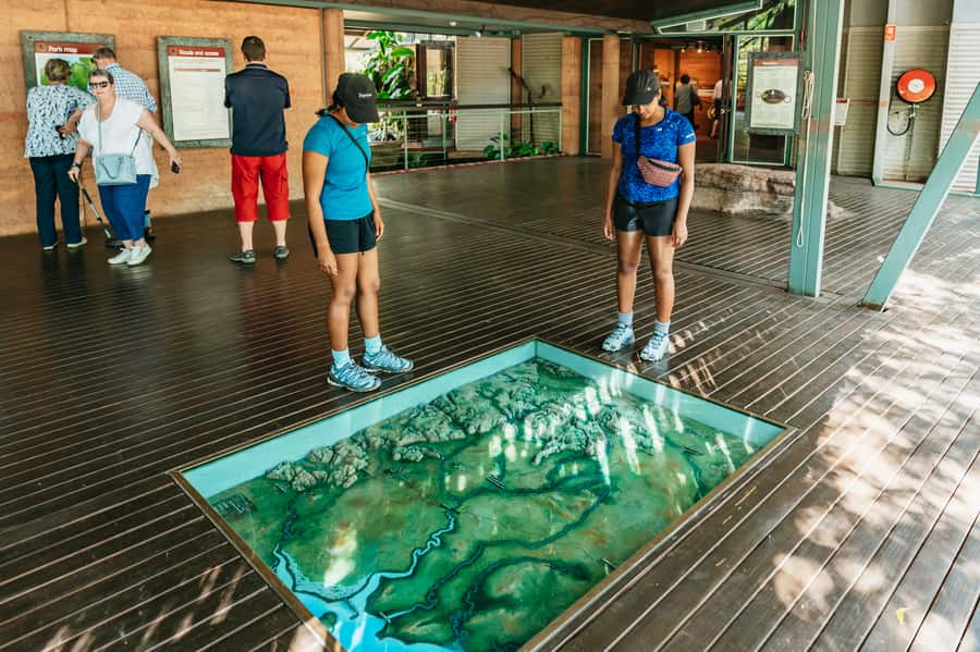 From Darwin: Kakadu Wilderness Escape & Rock Art Day Tour - Cahills Crossing and the crocodile count