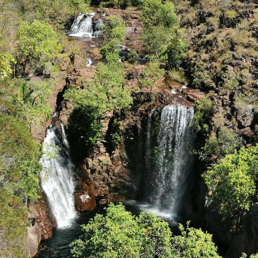 From Darwin: Litchfield National Park Small-Group Day Trip - Key points to know before booking