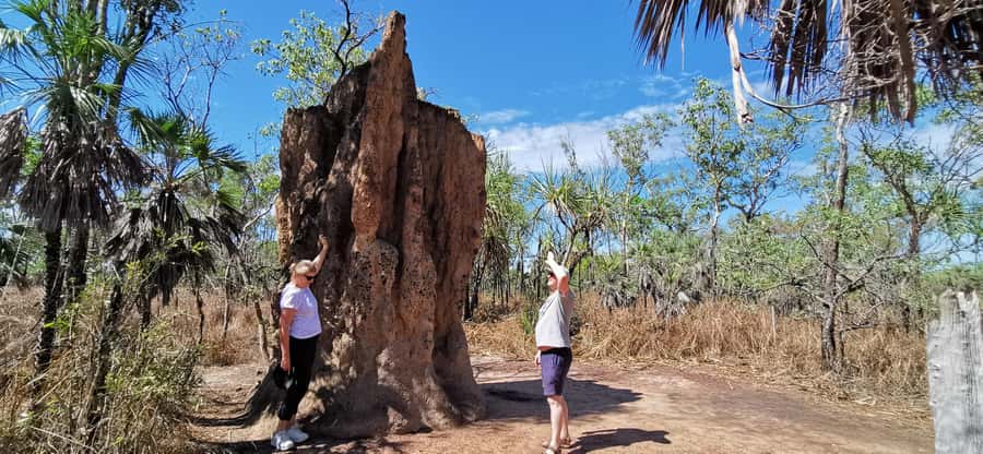 From Darwin: Litchfield National Park Small-Group Day Trip - Why this Darwin day trip works