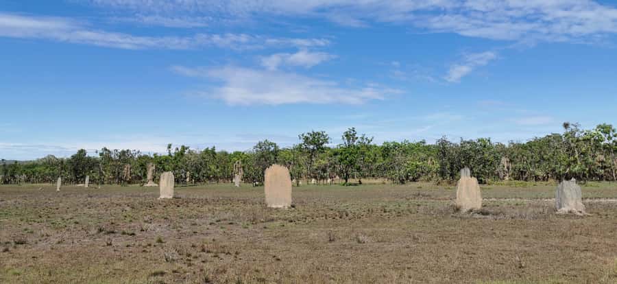 From Darwin: Litchfield National Park Small-Group Day Trip - Berry Springs and the seasonal finish