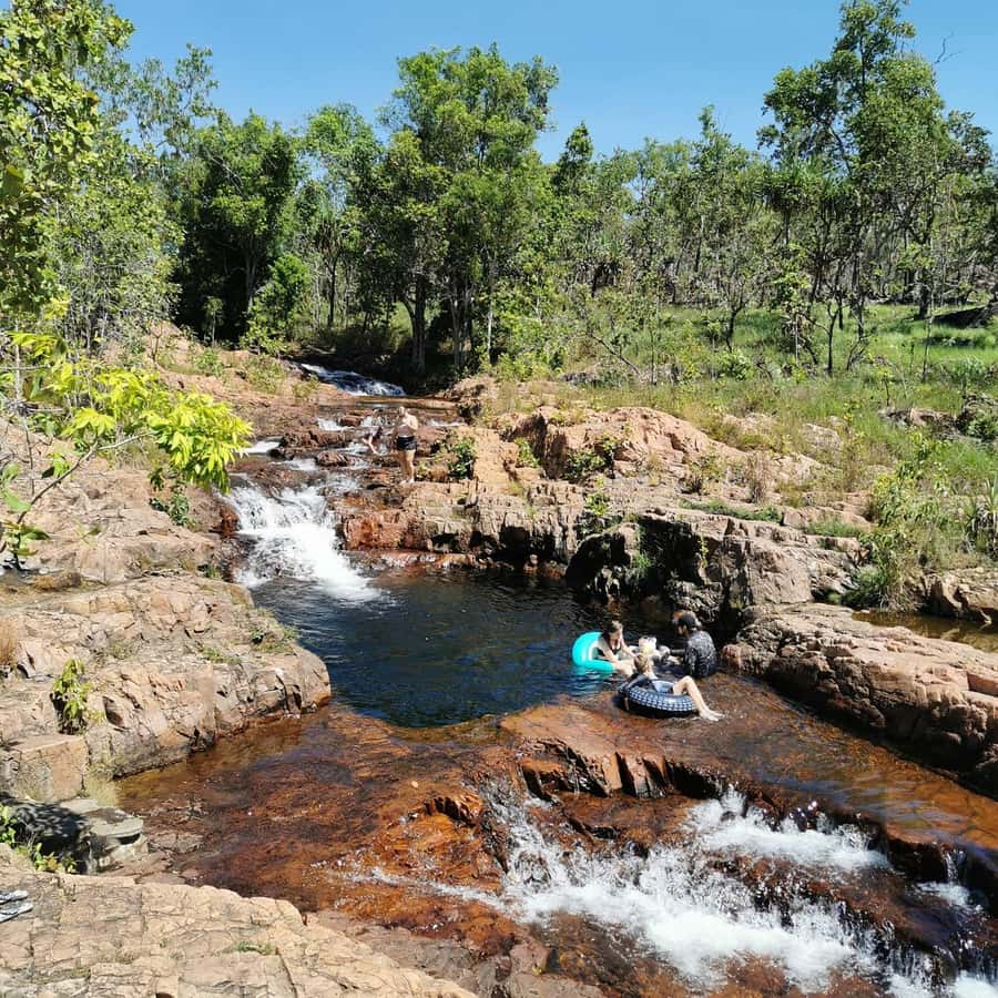 From Darwin: Litchfield National Park Small-Group Day Trip - Starting from Darwin and stopping in Batchelor
