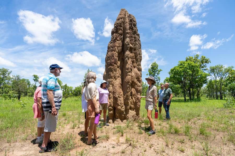 From Darwin: Litchfield National Park & Waterfalls Day Trip - Key points at a glance