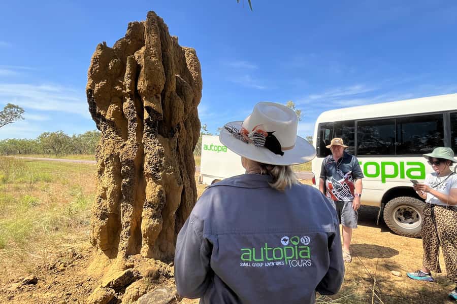 From Darwin: Litchfield National Park & Waterfalls Day Trip - Heat, wet-season changes, and what to pack