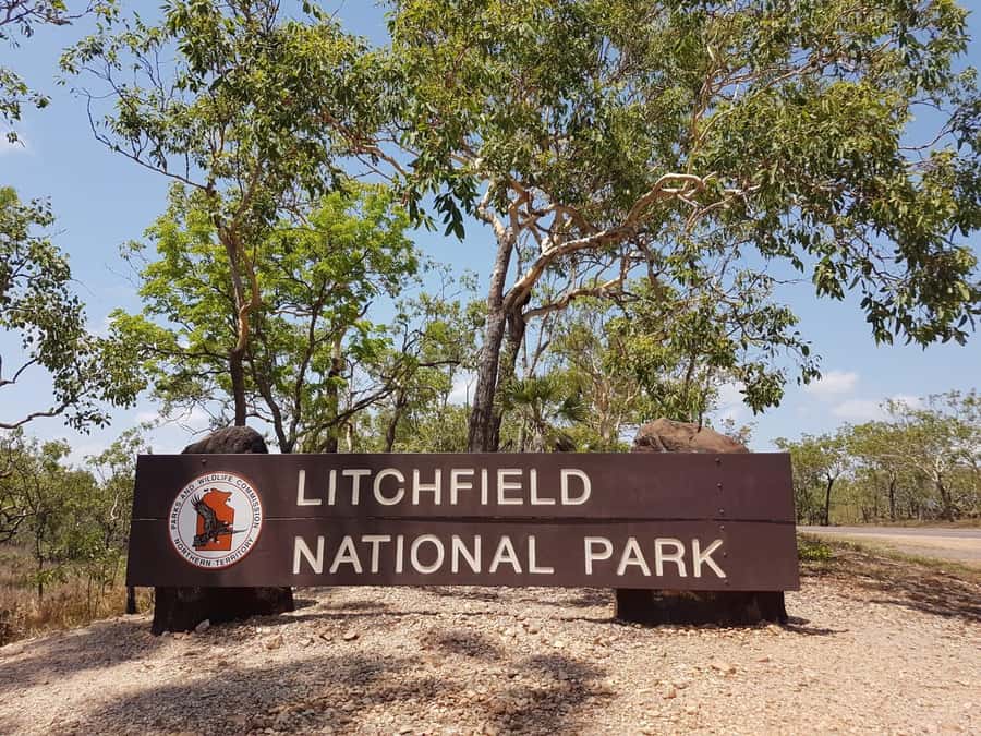 From Darwin: Litchfield National Park & Waterfalls Day Trip - The Adelaide River choice: crocodiles or wetlands