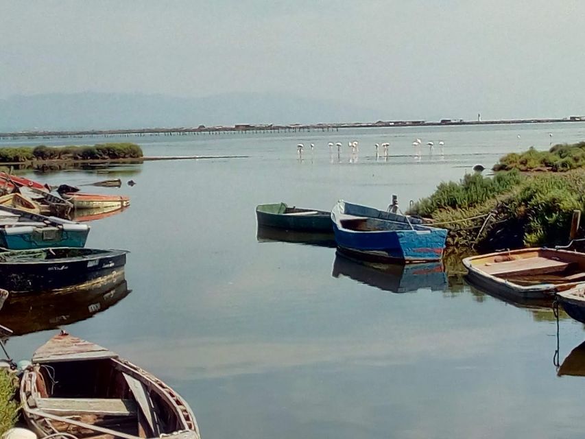 From Deltebre: Ebro Delta National Park Multi-Stop Day Trip - Birdwatching in the northern delta