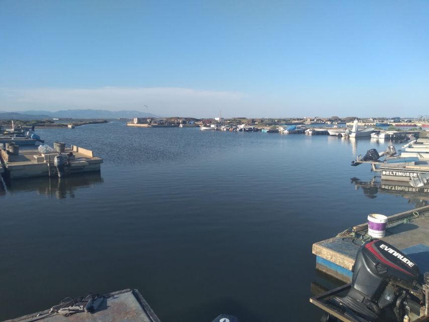 From Deltebre: Ebro Delta National Park Multi-Stop Day Trip - Price, group size, and practical value