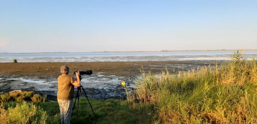 From Deltebre: Ebro Delta National Park Multi-Stop Day Trip - Who should book this Ebro Delta experience